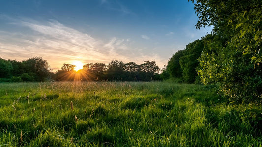 How to select the best wireless earbuds on earth?