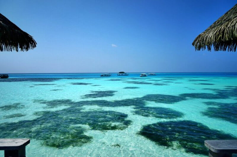 What makes a true wireless earbuds great?