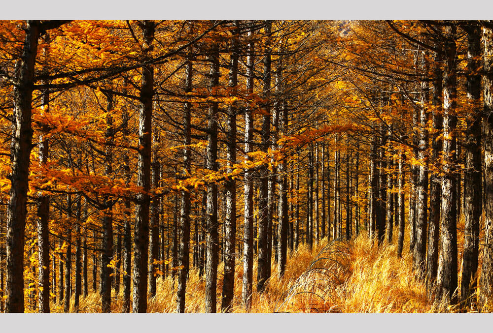 What Changes Do wireless earbuds Make to our lifestyle?