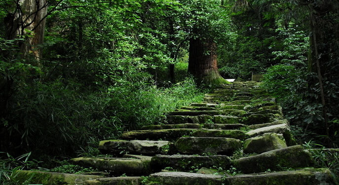 Looking for a pair of Budget Earbuds?