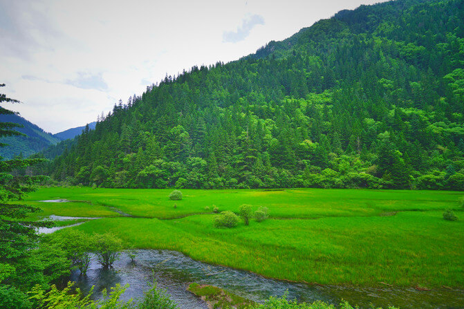 WHY SHOULD WE GO WIRELSS?